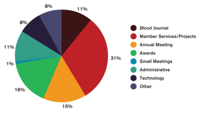 2021 Auditing Expenses pie chart