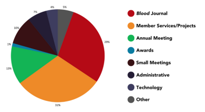 Audited Expenses